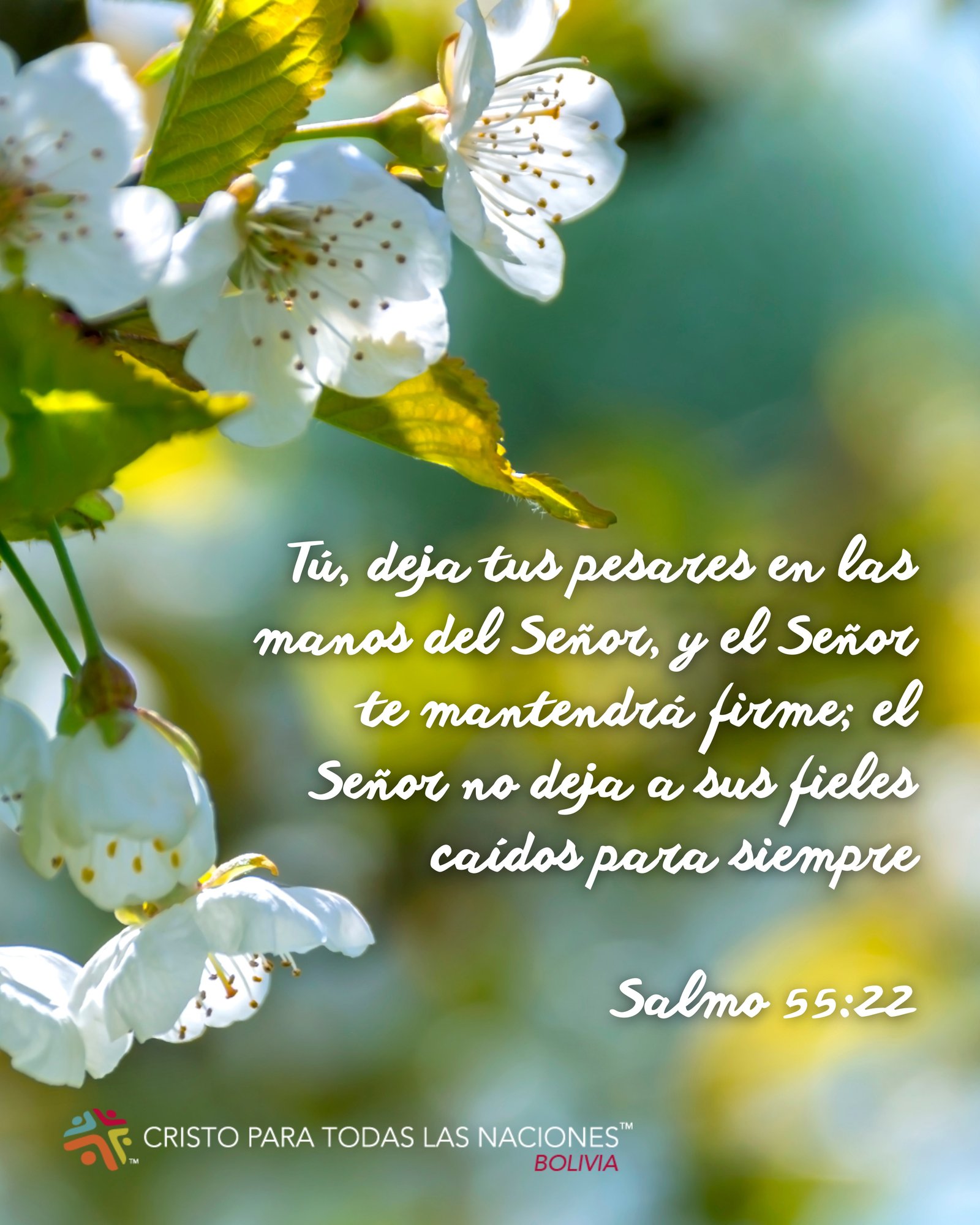 Devocional
